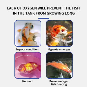 Comprimidos Oxigenantes para Aquicultura: Suplemento para Níveis Estáveis de Oxigênio em Ração para Camarão e Peixe – Aditivos para Aquicultura - Product Image 3