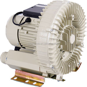 SUNSUN HG-750-C2 750W 1HP Ventilador De Ar De Alta Pressão Bomba De Gás <span class=keywords><strong>Vortex</strong></span> - Product Image 2