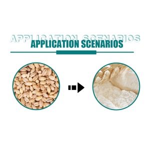 Công Nghiệp Lúa Mì Và Ngô Máy Phay 3000W Gia Vị Máy Xay Cho Ướt - Product Image 3