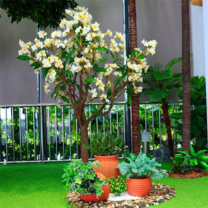 6ft Kunstmatige Frangipani Boom Palmboom Met Wit-Gele Bloemen Voor Resort/Hotel/Zwembad Decor, UV-Bestendig - Product Image 3