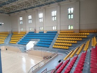 Chaises de stade en HDPE personnalisées, durables, résistantes aux intempéries, prix d'usine, parfaites pour les stades et les arènes