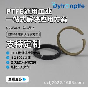 ซีลลูกสูบแบบเติม PTFE ยี่ห้อ Dechuang ชิ้นส่วนซีลอุตสาหกรรมพลาสติกวิศวกรรมประสิทธิภาพสูง - Product Image 2