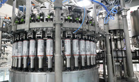 Solution annuelle de brasserie 30000KL pour une ligne de production industrielle de bière de 30 millions de litres