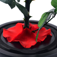 Fleur éternelle en forme de cœur, vraies roses séchées de haute qualité pour la fête des mères, anniversaire, cadeaux de vacances pour les amis et la famille