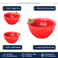 Bol en céramique personnalisé en forme de fraise, design mignon de fruits, pour chiens et chats, gamelle d'alimentation et d'eau, distributeurs personnalisés en gros OEM