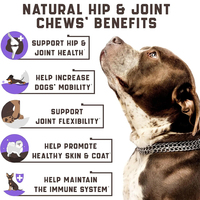 Suppléments nutritionnels pour les hanches et les articulations des animaux de compagnie avec glucosamine et MSM pour soutenir la mobilité dans OEM/ODM de chiens à mâcher