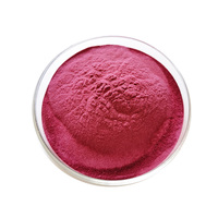 Poudre de jus de canneberge lyophilisée 100% naturelle et soluble dans l'eau