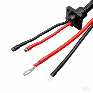 Harness Kabel Pengisian Baterai 2-Pin Kustom dengan Terminal Cincin dan Konektor Panel Tahan Air untuk Sepeda Motor dan Mobil - Product Image 4