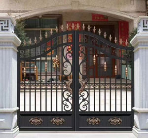 Porte double en aluminium avec technologie résistante à l'usure, décoration minimaliste de style central-asiatique, motif personnalisé, automatisation du moteur - Product Image 1