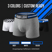 Sous-vêtements pour hommes en modal avec logo personnalisé OEM, caleçons boxer à taille élastique douce, vente en gros d'usine