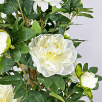 Tanaman Bonsai Bunga Peony Sutra Buatan 150cm, Tanaman Buatan untuk Dekorasi Rumah, Taman, dan Pernikahan
