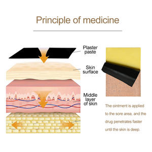 प्राकृतिक हर्बल अर्क टाइगर प्स्टर के लिए पीठ और साइटिक तंत्रिका दर्द राहत विटामिन सक्रिय घटक - Product Image 5