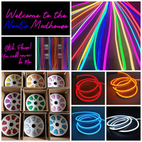 Kit 5 m/rouleau Gel de silice modifié 12v 8*16mm 2.5cm coupe bande flexible néon LED décoration extérieure IP67 Silicone 2.5cm lettre néon