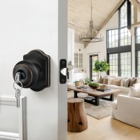 Poignée de porte sphérique en alliage de zinc pour usage extérieur dans les villas, hôtels, appartements, jardins, centres commerciaux et entrepôts