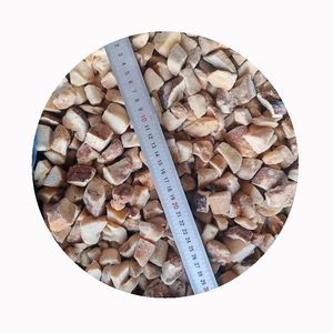 IQF congelé frais organique funghi porcini cèpes sauvage jaune champignon brun entier dés de printemps tranches morceau dés bloc Cubes coupes - Product Image 2