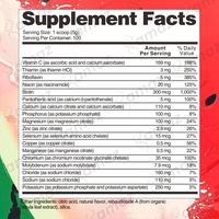 Poudre d'électrolytes pour boisson quotidienne, sachets d'hydratation, 6 électrolytes minéraux, sans sucre, compatible Keto, énergie, Halal