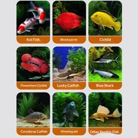 Nourriture granulaire pour poissons nageurs, adaptée aux requins bleus, poissons papillons, poissons perroquets, poissons tigres, poissons dragons argentés