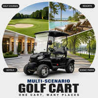 Klub Harga Grosir Mobil Golf 2 Penumpang Terlaris Mobil Golf Off Road Performa Tinggi Roda Empat untuk Wisata