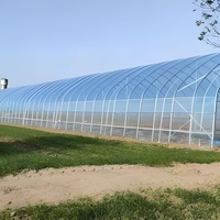 Offre Spéciale grande portée unique serre agricole Tunnel économique PC feuille couverture pour légumes culture cerceau maison