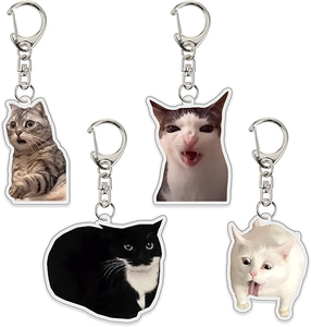 Vente chaude : 8 porte-clés en acrylique légers et imperméables avec des chats mignons, des chats qui parlent, des mèmes de chats - Product Image 4