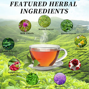 Supplier Custom Lose Weight Formula Herbal Colon Detox Tea Support Healthy Gut Microbiome Active Slimming Tea Burn Belly Fat - Product Image 5