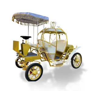 Princess Royal Horse And Carriage Girls Luxury Wedding Carriage Cinderella Horse Carriages Manufacturer For Sale