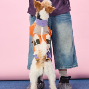 Fabricante de Ropa para Perros Personalizada OEM ODM, Chaqueta Impermeable, Antiinsectos y Antisuciedad para Perros <span class=keywords><strong>Basset</strong></span> <span class=keywords><strong>Hound</strong></span> - Product Image 2