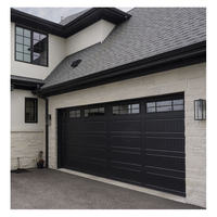 Porte de garage en aluminium et verre, avis, porte de garage sectionnelle automatique transparente, porte de garage sans cadre à vue complète, 16 x 8