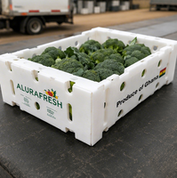 Boîte d'emballage personnalisée en carton alvéolé PP pour le transport de brocoli frais, découpée sur mesure, ventilée et durable