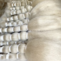 Nouveauté 2026 : Cheveux de queue de yak 100 % naturels, lavés et propres, couleur blanche naturelle, 24''-26''