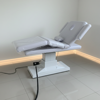Cama de Masaje Eléctrica de 2 Motores, Plegable y Totalmente Ajustable, para Spa Médico, Gimnasio, Escuela