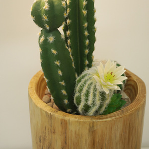 Bloque de madera de cedro para plantas, macetas de suelo ecológicas hechas a mano para flores y plantas verdes, estilo japonés, para sala de estar y comedor - Product Image 3