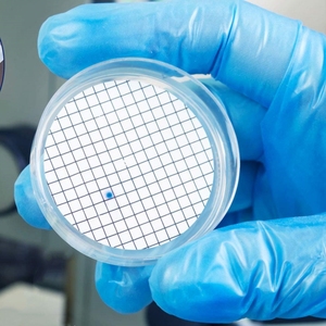 Membrane filtrante quadrillée qualitative en Chine Taux de récupération élevé de 47mm pour la détection bactérienne - Product Image 5