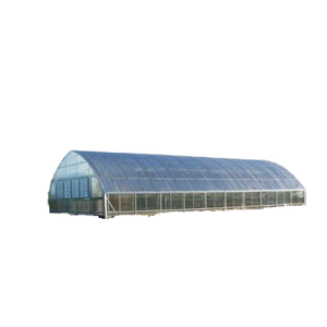 Serra commerciale del tunnel del polytunnel agricolo per il pomodoro del fungo con il sistema di raffreddamento idroponico - Product Image 1