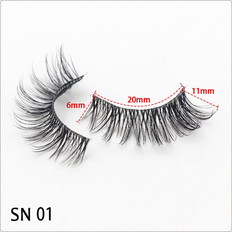 SN01