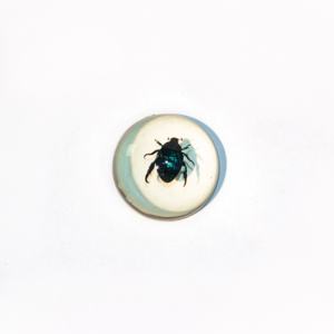 Benji Curated Resin Arthropod Display, Molde Esférico para la Conservación de <span class=keywords><strong>Fauna</strong></span> Silvestre, Pintado a Mano, Motivo de <span class=keywords><strong>Fauna</strong></span> Realista y Auténtico para Pared - Product Image 3