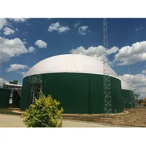 Human Waste Biogas Plants Philippines Fermentation Reactors With Gas Holder