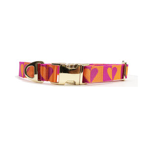 <span class=keywords><strong>Collar</strong></span> de perro de nailon con hebilla de Metal de Color dorado de lujo con logotipo Jacquard personalizado hermoso - Product Image 5