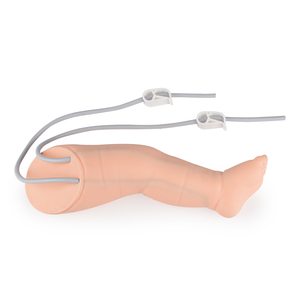 Trẻ sơ sinh chân <span class=keywords><strong>Simulator</strong></span> cho <span class=keywords><strong>IV</strong></span> và phlebotomy cannulation thực hành y tế khoa học sản phẩm - Product Image 2
