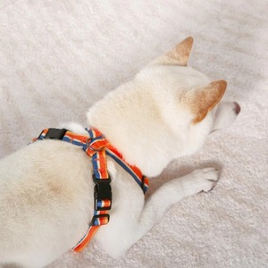 Harnais pour chien Gilet X Step-In Soft Mesh Harnais pour animaux de compagnie Harnais réfléchissant pour petits chiens Walking Bulldo Pet Leash - Product Image 5