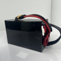Batterie à semi-conducteurs personnalisable en gros pour drones, 6S 8S 12S 14S 16S 24S, 280 Wh/kg 350 Wh/kg 470 Wh/kg, pour applications à grande échelle