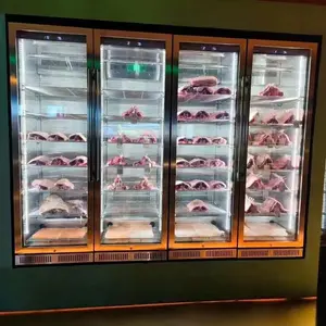 Beef Salami Dry Age Meat Fridge With Salt Meat Display Freezer Beef Dry Aging Steak Dry Ager Meat Aging Machine Restaurant