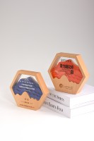 Nouvelle Mode Bois Massif Trophée Incrustations Résine Cristal PVC Supports Conception Disposition Plaque Plaque D'immatriculation Ventes Champion Récompense Personnel
