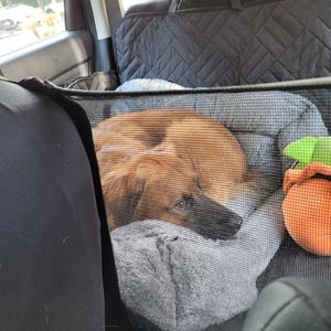 Hunde autos itz bezug für Rücksitz bett mit Netz fenster und Aufbewahrung tasche Unterstützt 400lbs - Product Image 3