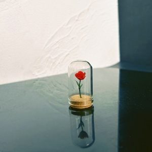 tengyazc Accessori per casa delle bambole, modello di scena in miniatura, simulazione di mini piante, fiori, ornamenti a forma di rosa, ispirati a <span class=keywords><strong>Il</strong></span> Piccolo <span class=keywords><strong>Principe</strong></span> - Product Image 3