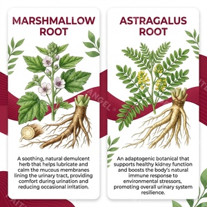 Comprimés Premium Canneberge D-Mannose pour Animaux <span class=keywords><strong>de</strong></span> Compagnie – Soutien Urinaire pour Chats et Chiens – Marque Privée OEM - Product Image 4