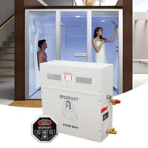 Yeni tasarım elektrik CE onayı buhar banyo makinesi jeneratör