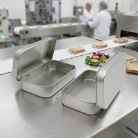 Boîtes de rangement rectangulaires en fer blanc argenté et noir, conformes aux normes alimentaires, avec couvercle à charnière, finition mate décorative, marque OEM, mini