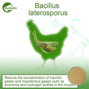 Fertilizante biológico de alta calidad para aditivos alimentarios, <span class=keywords><strong>Bacillus</strong></span> subtilis. - Product Image 4