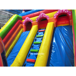 Castillo Inflable Comercial con Temática de Mario Bros para Niños, Tobogán para Negocios Inflables, Certificado EN14960 - Product Image 5